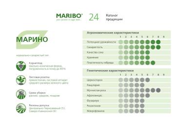 МАРИНО