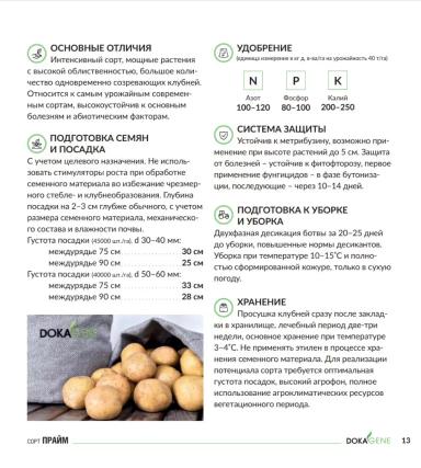 Прайм