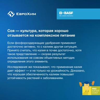 PROкачай сою! "Кормим" сою правильно