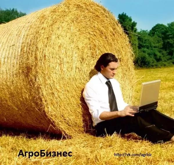 Выбирай куда пойти! У нас есть готовые решения для УСПЕХА!