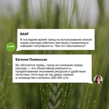 Процесс опрыскивания как часть прибыльного земледелия