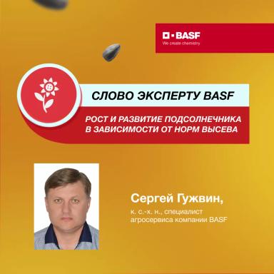 Рост и развитие подсолнечника в зависимости от норм высева