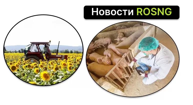 Обзор новостей за 25 августа