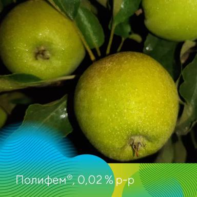 Адъювант Полифем® в садах