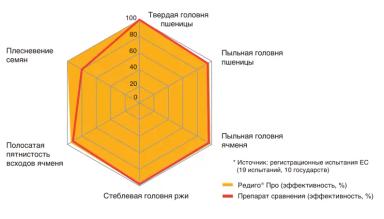 Фузариозная корневая гниль: как снизить риски потерь урожая