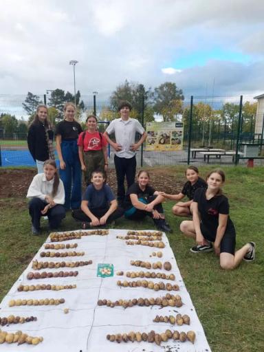 Названы финалисты «Картофельного БУМа»!