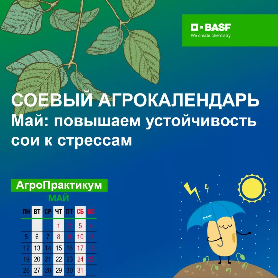 Соевый агрокалендарь
