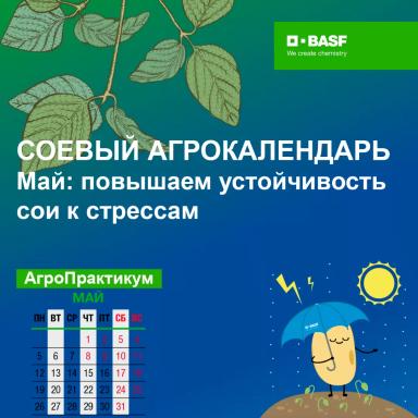 Соевый агрокалендарь