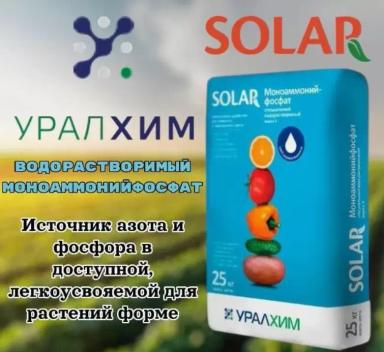 Готовь урожай с посева семян