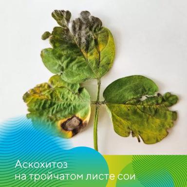 Экспедиция на Орловщину