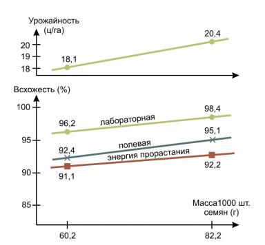 Сильные семена