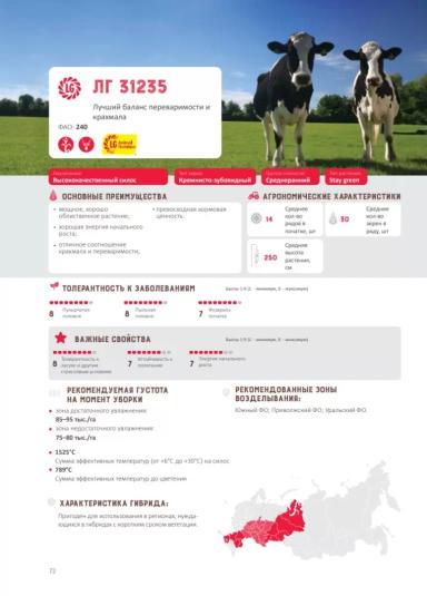 ЛГ 31235 гибрид кукурузы Лимагрейн