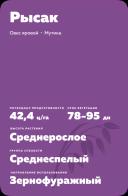 Рысак сорт овса ярового