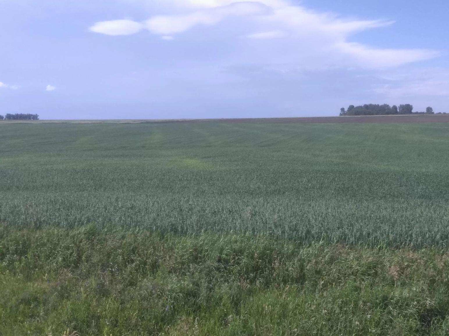 Вести с полей.