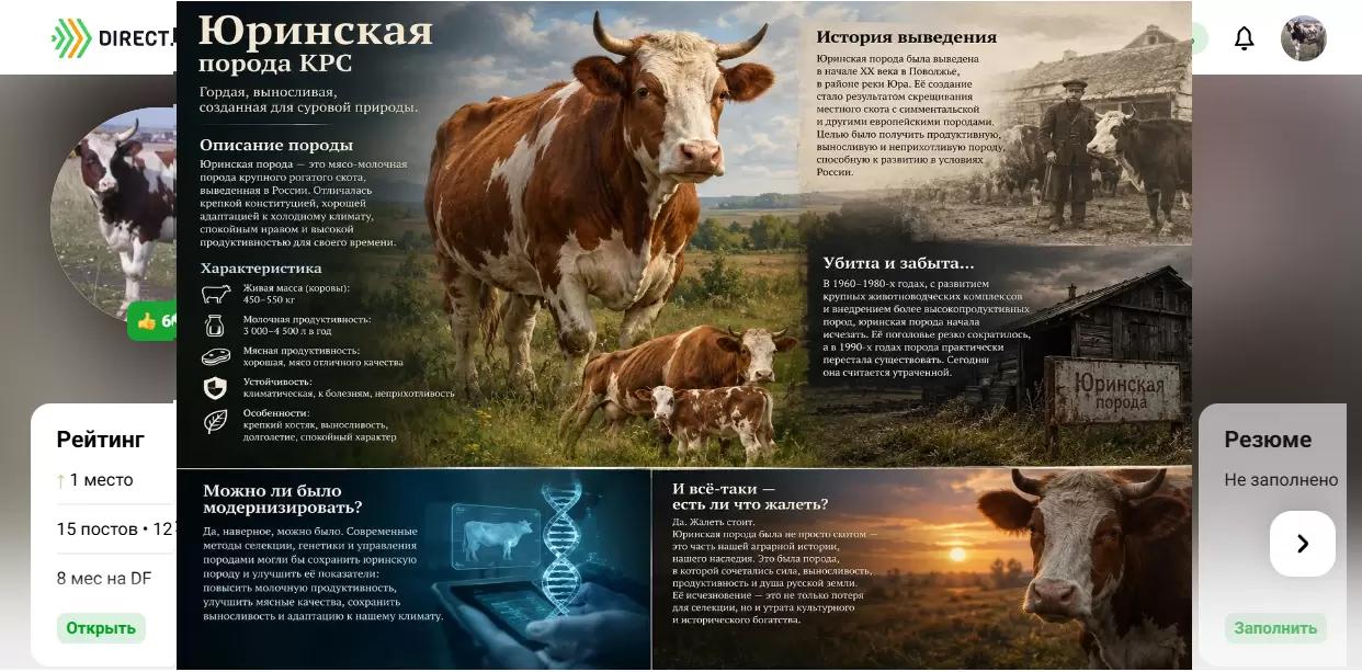Юринская порода КРС: история взлета и забвения