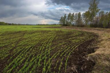 Сев с посекционным отключением: насколько целесообразна такая опция?