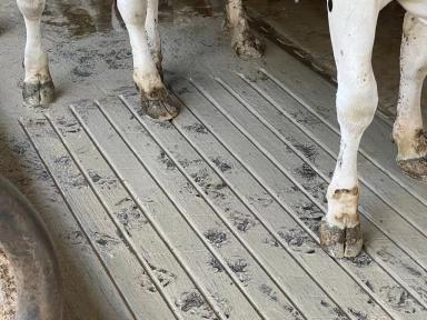 Hарезка бeтонных полов (Штроб/Канавки и текстурирование/фрезерование)