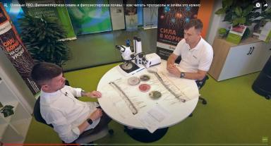 Фитоэкспертиза семян и фитоэкспертиза почвы