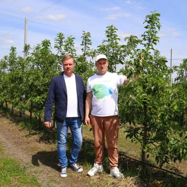 Партнеры об «Августе»