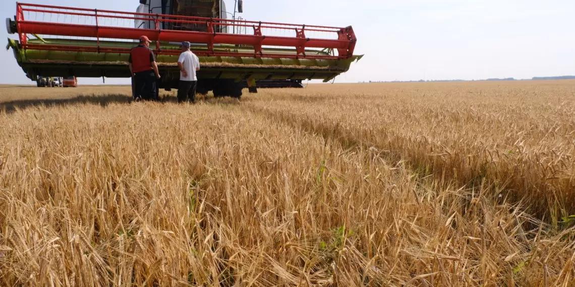 Минсельхоз обяжет региональные власти оказывать большую поддержку аграриям