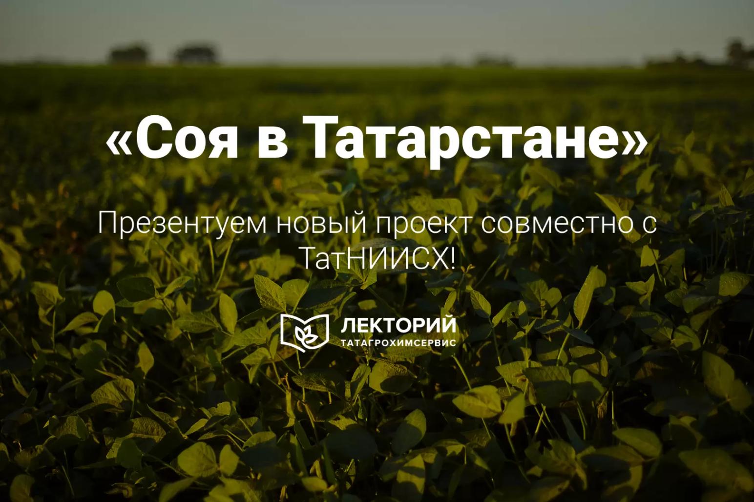 Соя в Татарстане: новый проект совместно с ТатНИИСХ!