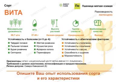 Вита сорт мягкой озимой пшеницы