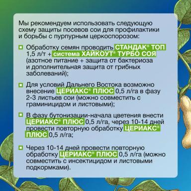 Рекомендации для контроля пурпурного церкоспороза