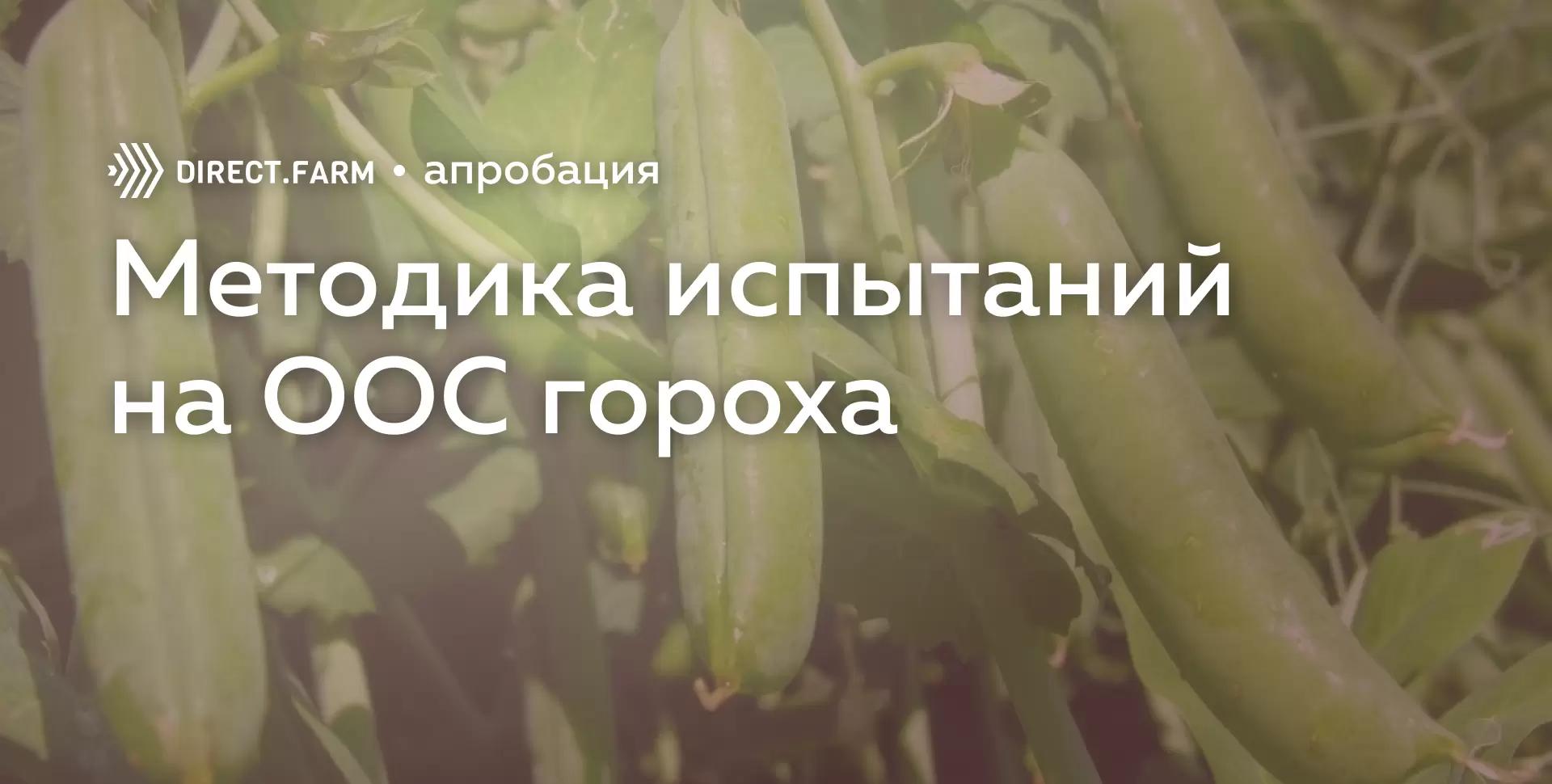 Методика испытания на отличимость, однородность и стабильность гороха