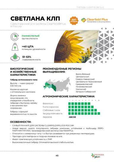 Светлана КЛП гибрид подсолнечника