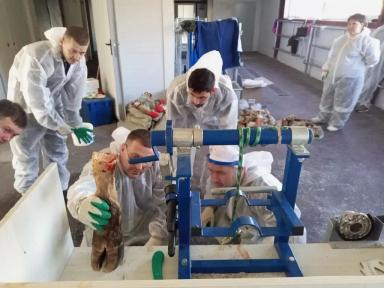 Повышение квалификации.