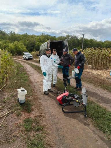 Опыт внесения десиканта «RegloneAir» на подсолнечнике,с помощью дрона XAG V40