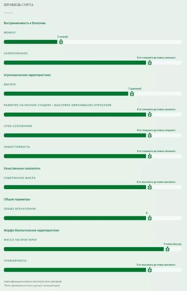 Сэмми (SAMMY) сорт рапса озимого