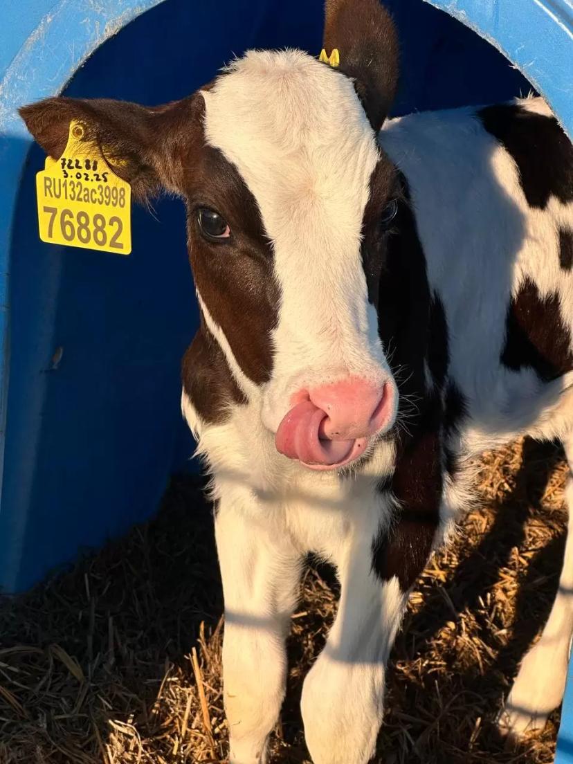 Агрохолдинг Долгов Групп