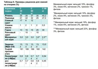 Кормовой горох в рационах свиней