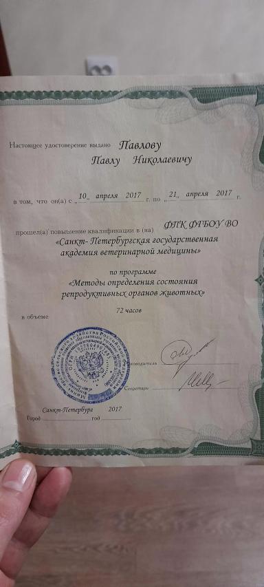 Резюме: люблю свою работу