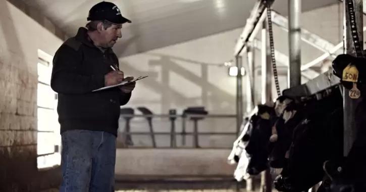 Индекс функциональности печени: показатель здоровья коров в переходный период 