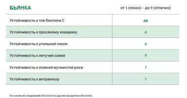 Бианка (BIANCA)