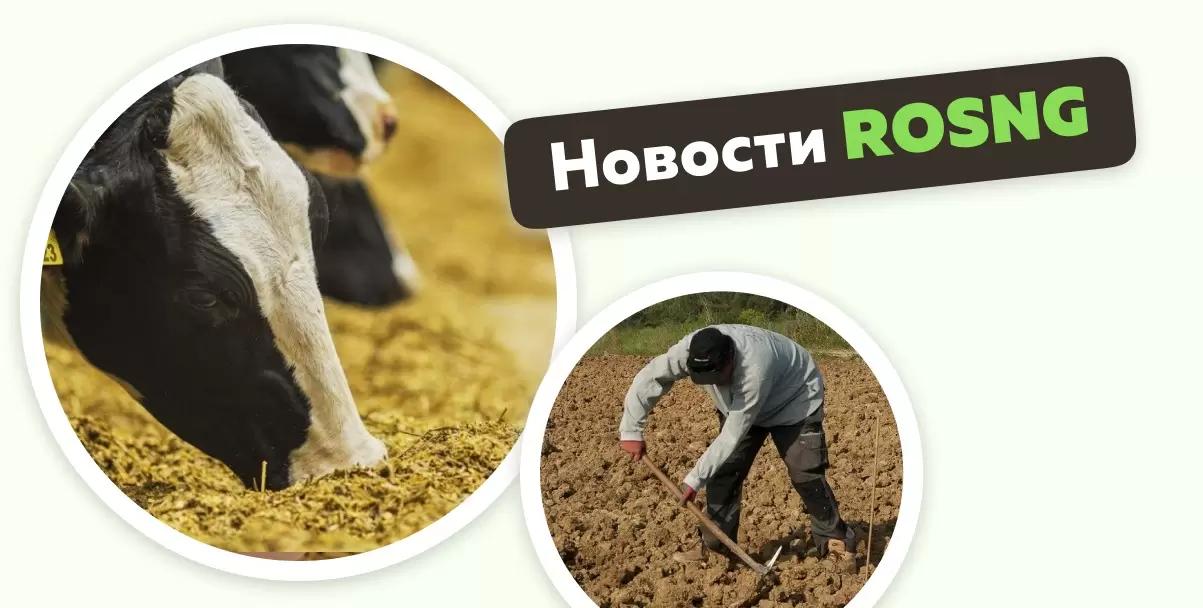Обзор новостей за 26 апреля