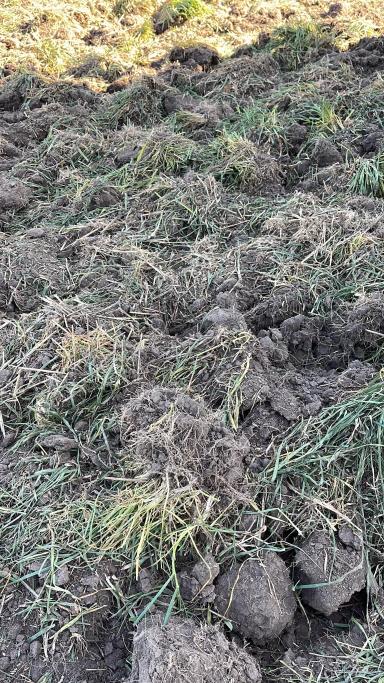 Глубокорыхлитель 