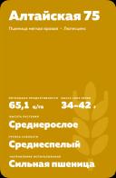 Алтайская 75