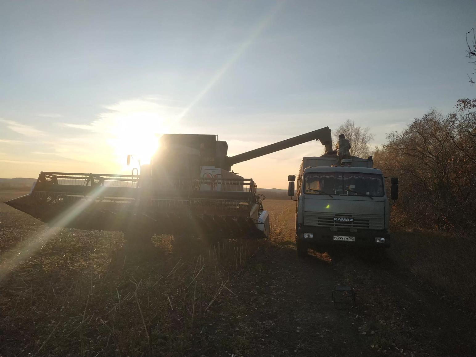 Новости с полей