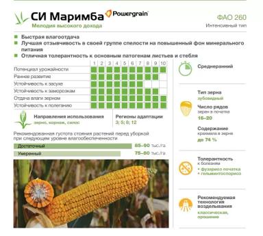 СИ Маримба - гибрид кукурузы ( Zea mays L.).