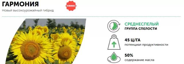 Гармония - гибрид подсолнечника (Helianthus annuus L.)