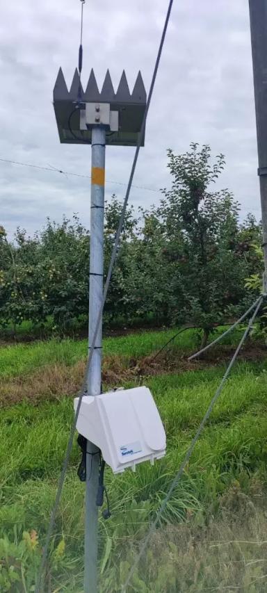 Управлением поливом в садах  и на полях, использующих оросительные системы