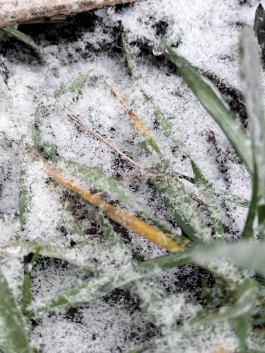 Пережить зиму.