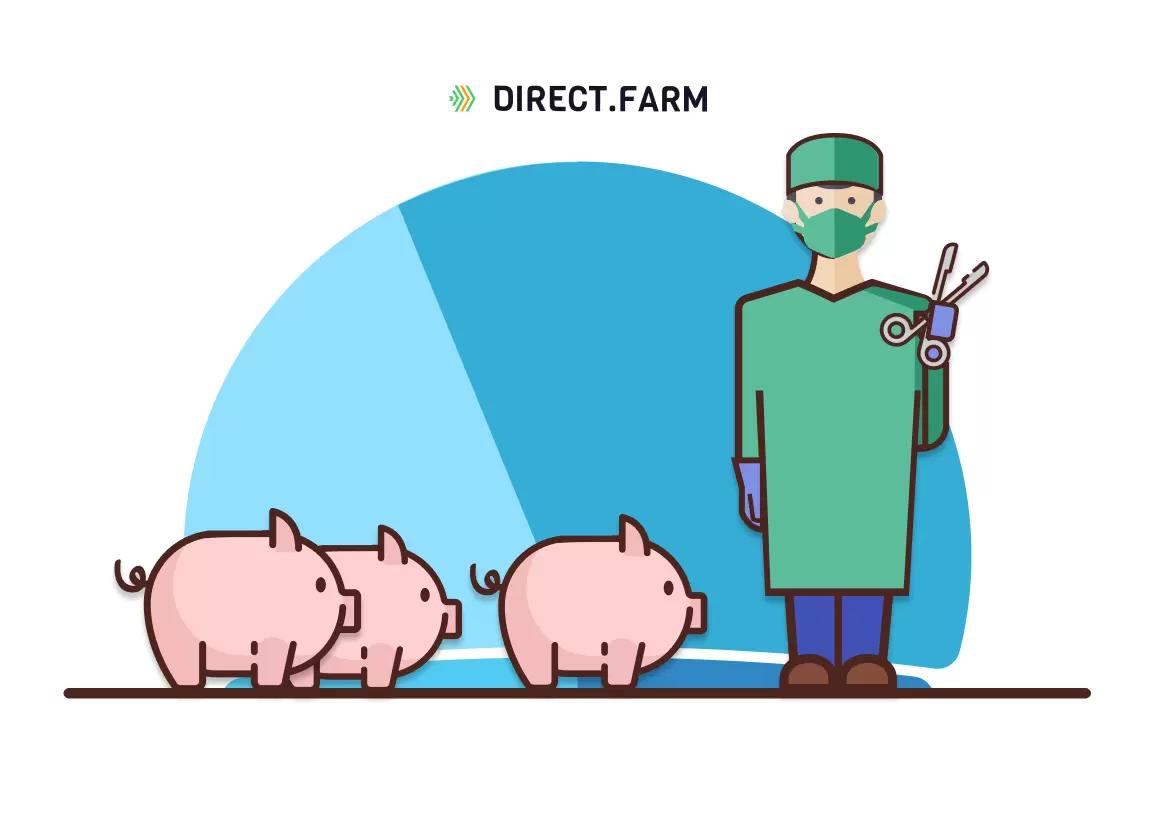 Есть ли альтернативы традиционному способу кастрации поросят?