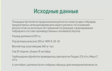 Алгоритм выбора гибрида кукурузы