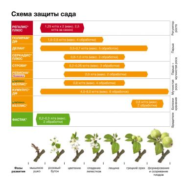 Эффективная забота о саде