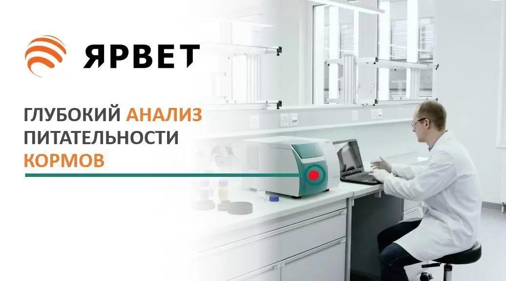 Исследование зерна в лаборатории. Лабораторные исследования пшеницы. Исследование кормов в лаборатории. Анализ корма лаборатория. Анализ корма лаборатория.