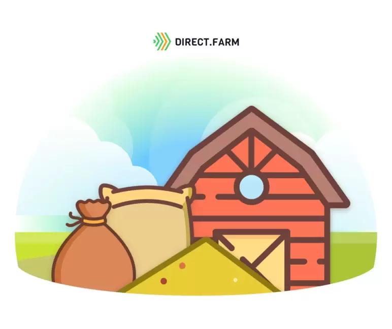 Всё про обработку зернохранилищ и хранения зерна